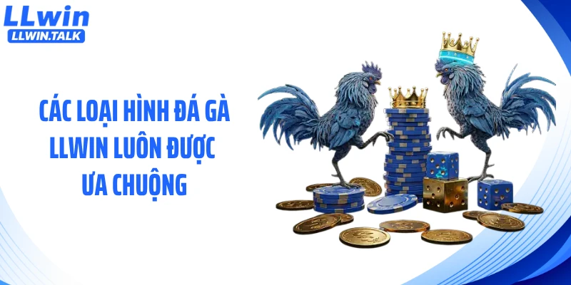 Các loại hình đá gà LLWIN luôn được ưa chuộng