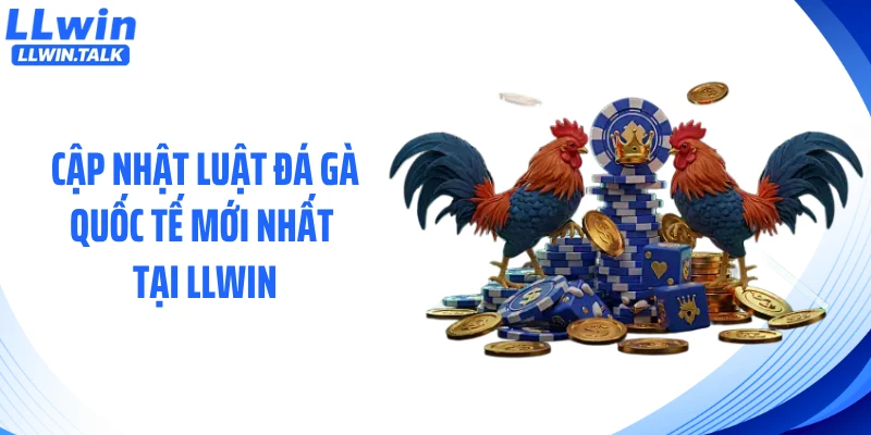 Cập nhật luật đá gà quốc tế mới nhất tại LLWIN