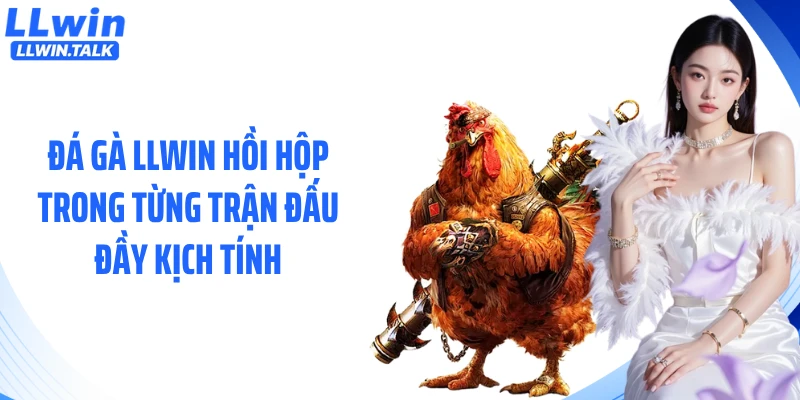 Đá gà LLWIN hồi hộp trong từng trận đấu đầy kịch tính