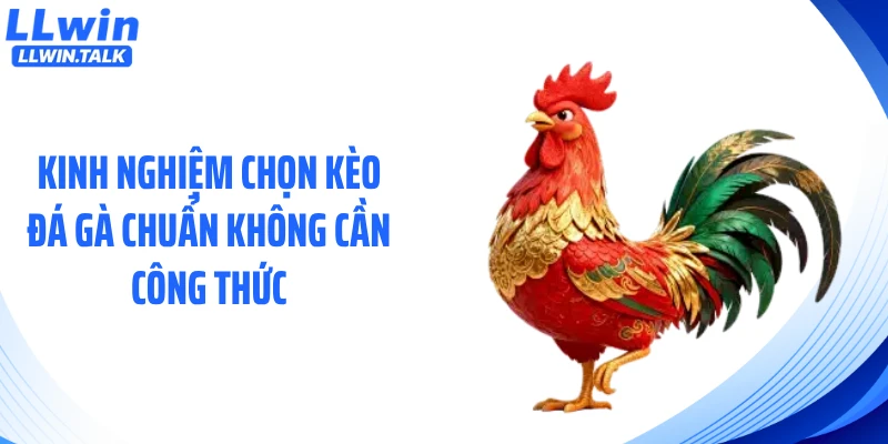 Kinh nghiệm chọn kèo đá gà chuẩn không cần công thức