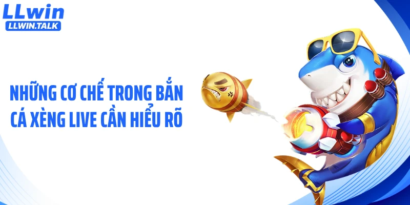 Những cơ chế trong bắn cá xèng live cần hiểu rõ